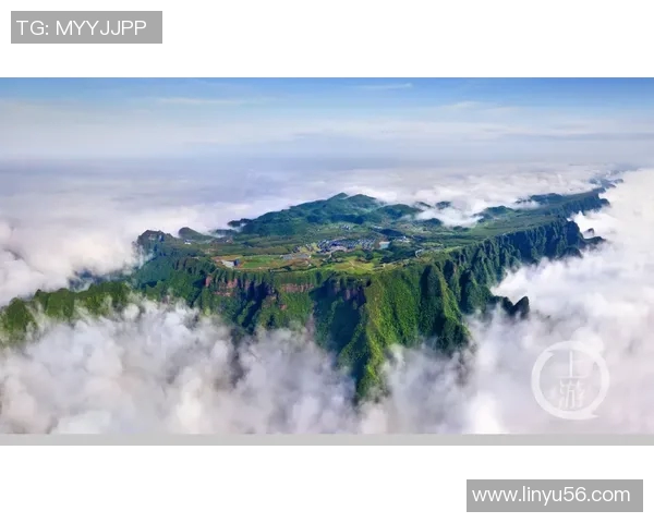 媒体日精彩回顾:各大品牌发布新动态与亮点活动一览 媒体日精彩回顾:各大品牌发布新动态与亮点活动一览